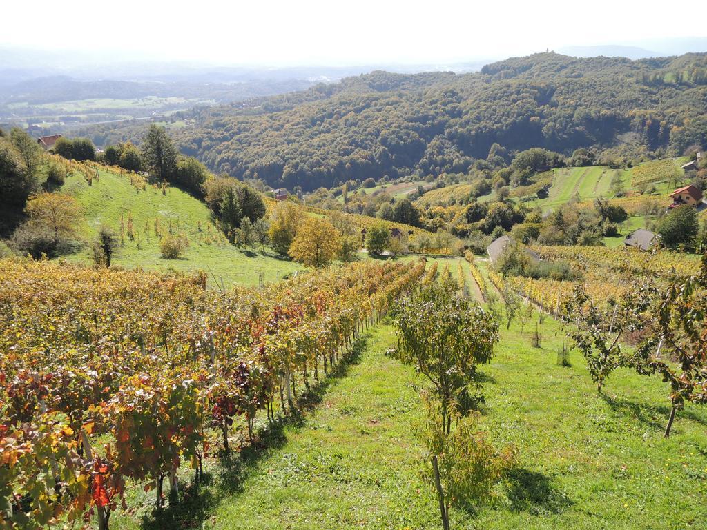 Vineyard Cottage Janko&Metka Otočec Kültér fotó